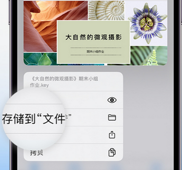 柘城apple维修中心分享iPhone文件应用中存储和找到下载文件