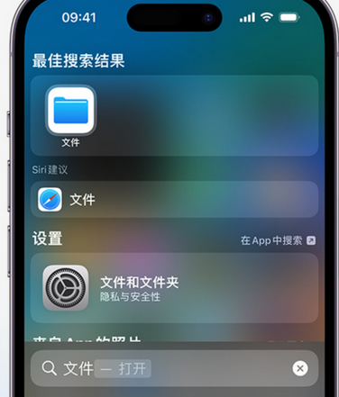 柘城apple维修中心分享iPhone文件应用中存储和找到下载文件 