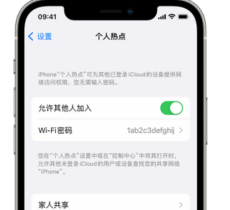 柘城apple服务站点分享iPhone上个人热点丢失了怎么办 