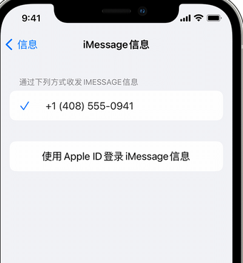 柘城apple维修iPhone上无法正常发送iMessage信息