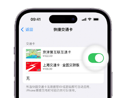 柘城apple维修点分享iPhone上更换Apple Pay快捷交通卡手绘卡面 