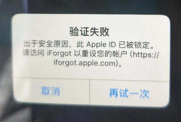 柘城iPhone维修分享iPhone上正常登录或使用AppleID怎么办 