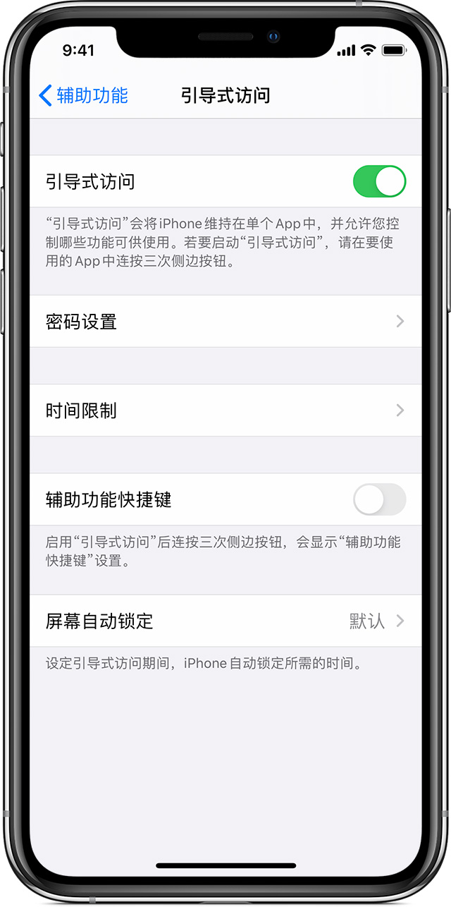 柘城苹果手机维修分享如何在 iPhone 上退出引导式访问 