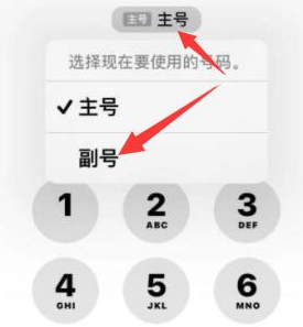 柘城苹果14维修店分享iPhone 14 Pro Max使用副卡打电话的方法 