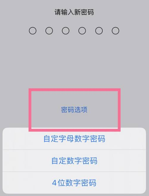 柘城苹果14维修分享iPhone 14plus设置密码的方法 