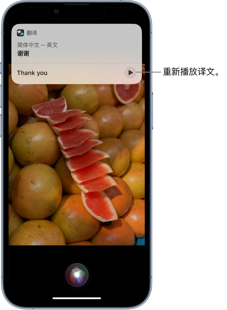 柘城苹果14维修分享 iPhone 14 机型中使用 Siri：了解 Siri 能帮你做什么 