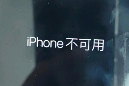 柘城苹果服务网点分享锁屏界面显示“iPhone 不可用”如何解决 