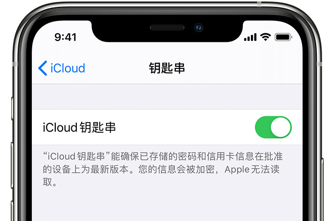 柘城苹果手机维修分享在 iPhone 上开启 iCloud 钥匙串之后会储存哪些信息 