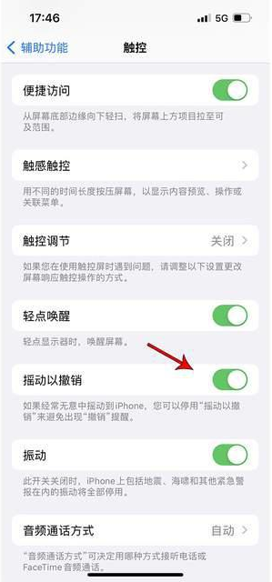 柘城苹果手机维修分享iPhone手机如何设置摇一摇删除文字 