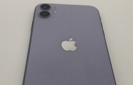 柘城苹果11系统维修分享iPhone11手机系统崩溃无法开机如何解决 