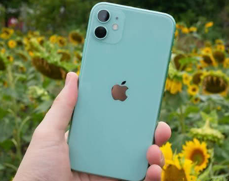 柘城苹果维修点分享iPhone 11锁屏密码认知与使用科普 