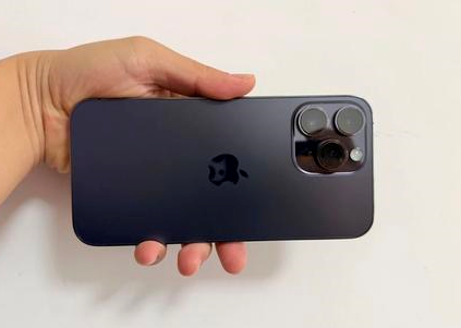 柘城苹果维修点分享iPhone 14 Pro Max黑屏少见故障盘点 